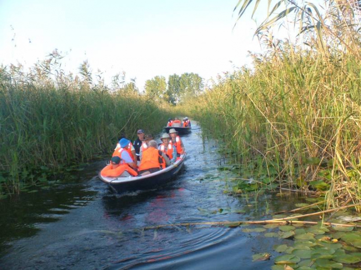 Accident în Delta Dunării. O șalupă plină cu turiști s-a făcut bucăți, după ce s-a ciocnit violent
