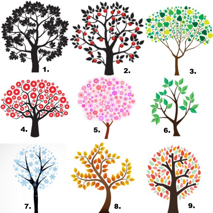 Testul copacului – Află ce spune despre tine imaginea pe care o alegi