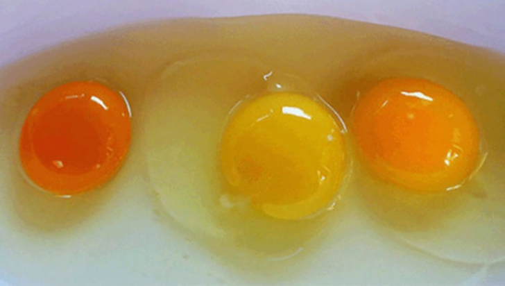 Cum îţi dai seama care ouă sunt sănătoase, în funcţie de gălbenuşul lor