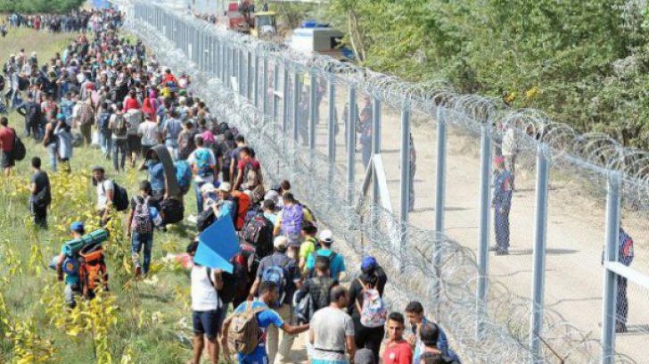 Criza imigranților. Refugiații blocați la granița sârbo-croată au reușit să ajungă în Croația 