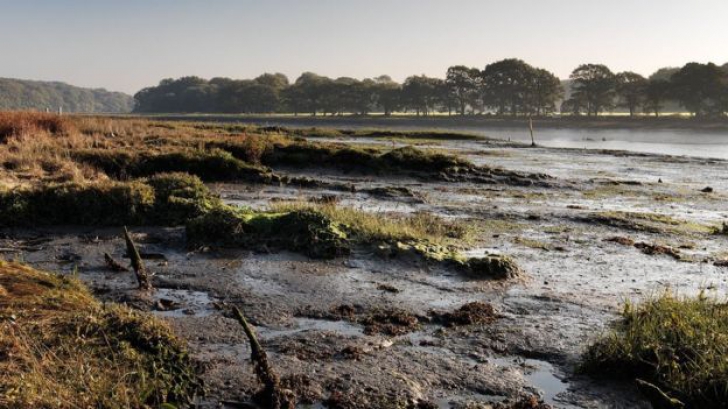 Descoperire excepţională pe fundul unui râu din Anglia. Are 600 de ani vechime