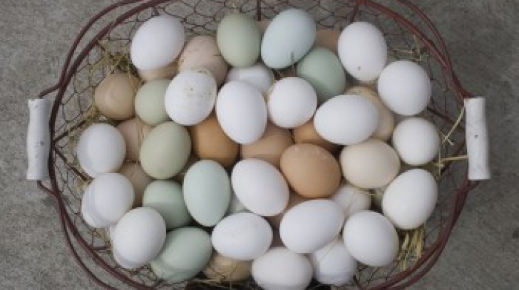 6 lucruri neştiute despre ouă