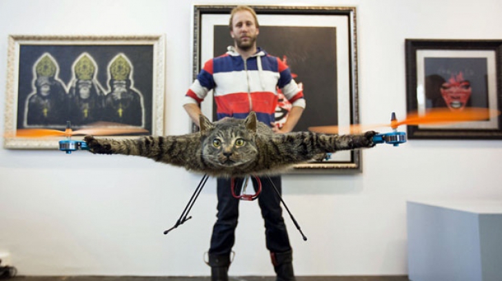 Un artist transformă animale moarte în obiecte zburătoare. Cum arată acestea