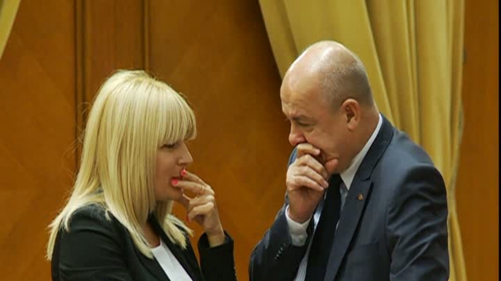 Gestul misterios făcut de Elena Udrea în Parlament
