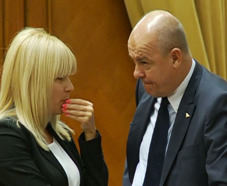 Gestul misterios făcut de Elena Udrea în Parlament