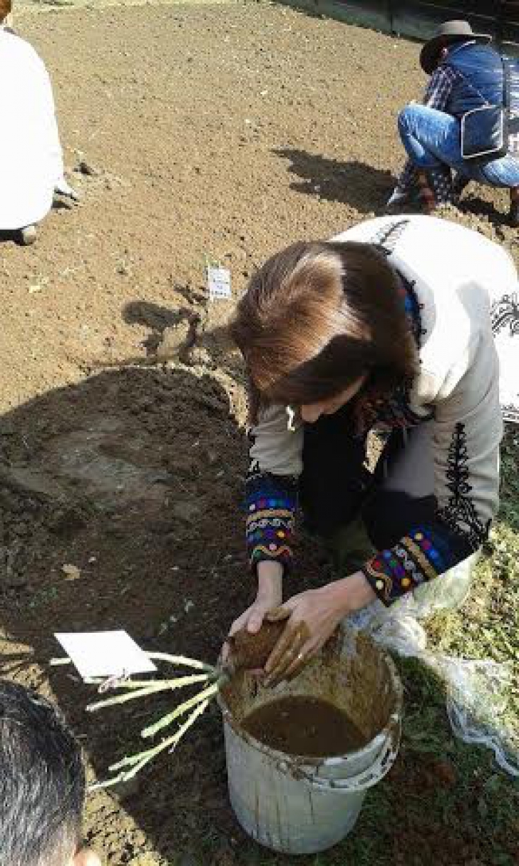 O vedetă de la noi are grijă de frumusețea sa plantând copaci