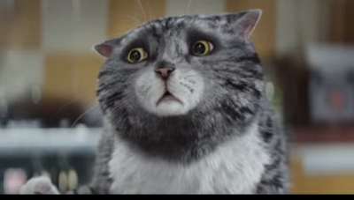 Cea mai tare reclamă de Sărbători. O pisică transformă Crăciunul într-o catastrofă - VIDEO 