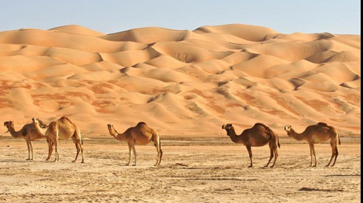 Desertul primește nisip românesc