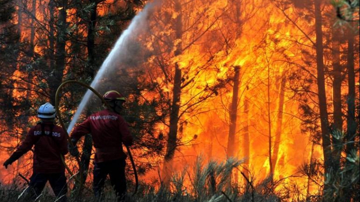 Incendiu de proporții în Gorj: 50 de hectare de pădure, cuprinse de flăcări