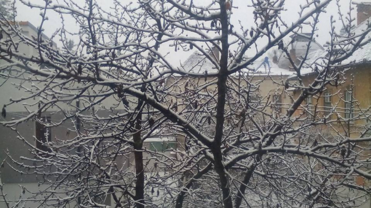 Ninge ca-n povești la Sibiu. Un strat subțire de zăpadă s-a depus, deja, pe străzi