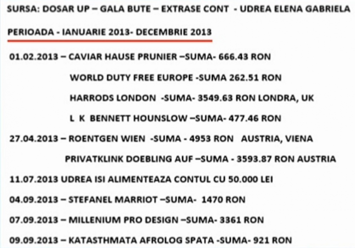 Extrasele de cont ale Elenei Udrea. Miliarde, cheltuite pe haine și distracție