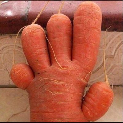 Legume și fructe cu cele mai ciudate forme. Tu ai mânca așa ceva?  - GALERIE FOTO 