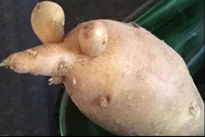 Legume și fructe cu cele mai ciudate forme. Tu ai mânca așa ceva?  - GALERIE FOTO 