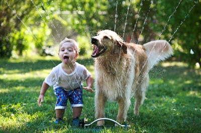 Top 20 de fotografii emoționante, care demonstrează nevoia copiilor de animale