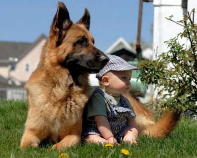 Top 20 de fotografii emoționante, care demonstrează nevoia copiilor de animale