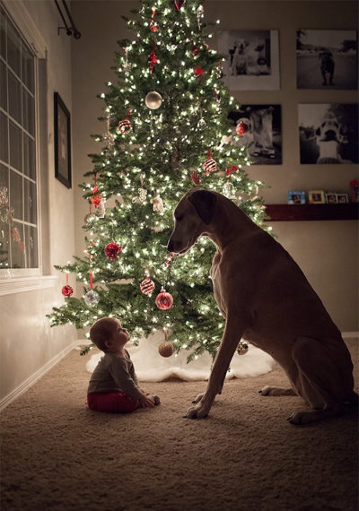 Top 20 de fotografii emoționante, care demonstrează nevoia copiilor de animale