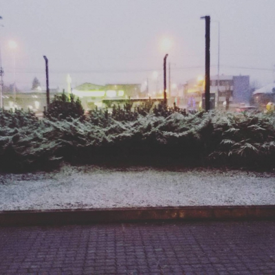 GALERIE FOTO. Prima ninsoare în Bucureşti. Capitala, sub primul strat de zăpadă, în această iarnă