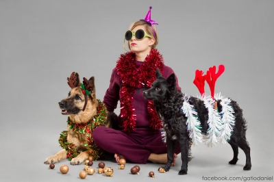Top 10 fotografii cu cei mai drăguți căței îmbrăcați în haine de sărbătoare