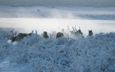 Prea cald de Sărbători? Iată o iarnă adevărată: iadul înghețat în Siberia. GALERIE FOTO