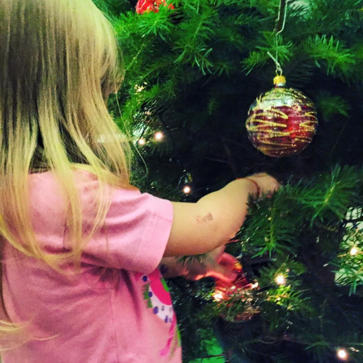 Vedetele se întrec în decorarea Pomilor de Crăciun! Cum și-au împodobit brazii