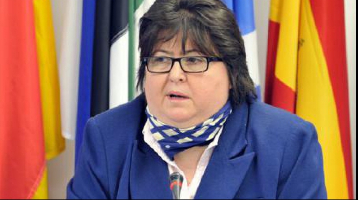 Alina Mungiu Pipidi: Serviciile trebuie să îşi facă treaba lor constituţională