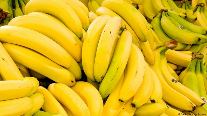 Captură record de droguri: 178 kg de cocaină, ascunsă într-un camion ce transporta banane