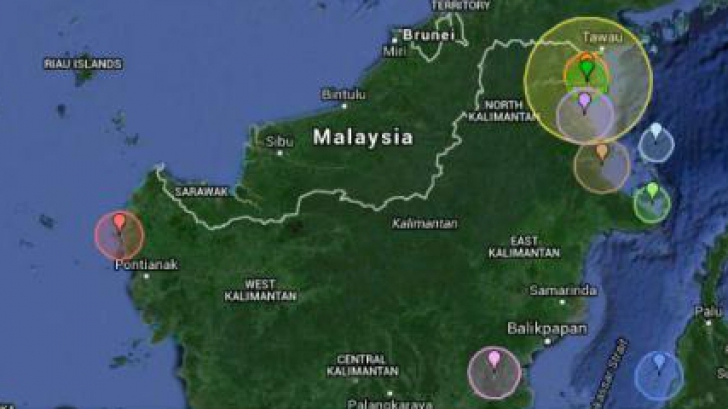 Un cutremur cu magnitudinea de 6 grade pe scara Richter a zgudui insula Borneo