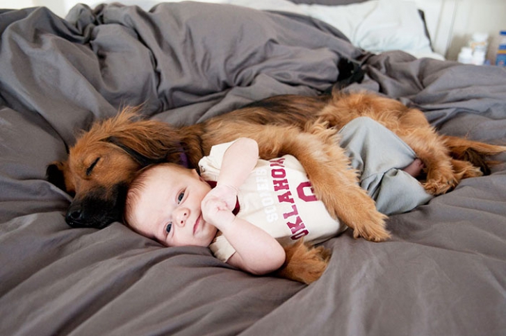 Top 20 de fotografii emoționante, care demonstrează nevoia copiilor de animale