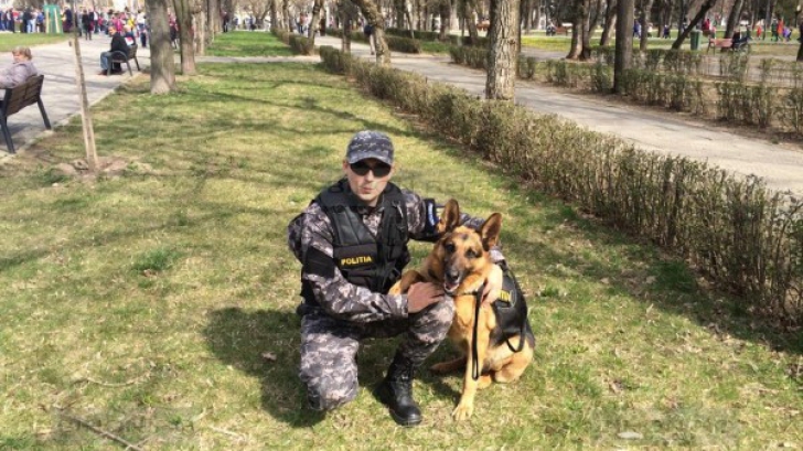 Gom, câinele poliţist care în vară a salvat o fetiţă, a murit. Suferea de o boală groaznică