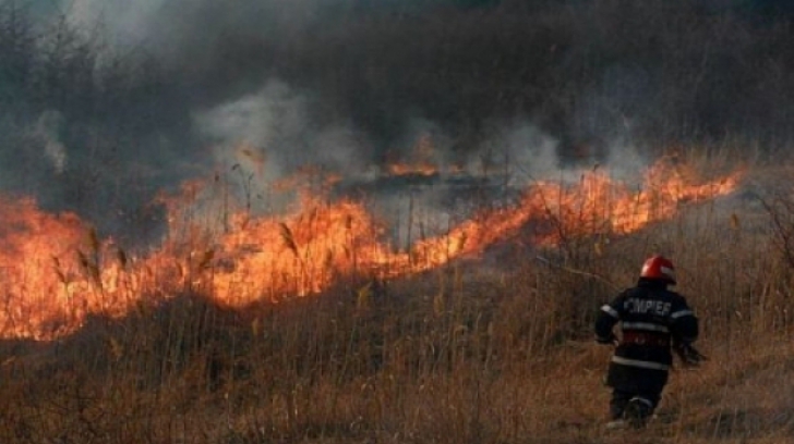 Incendiu de pădure în Buzău. Purtător de cuvânt ISU: "Operațiunea se desfășoară cu dificultate"
