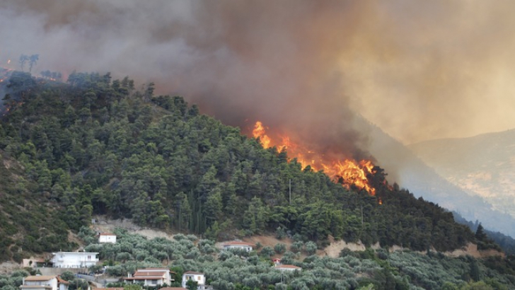 Incendiu puternic în Buzău. În jur de 4-5 kilometri de pădure, în flăcări