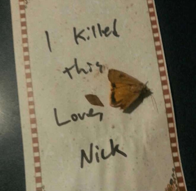 Imaginile exceselor: efectul alcoolului asupra logicii - cele mai amuzante FOTOGRAFII