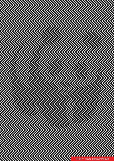 Internauţii, puşi în încurcătură de o iluzie optică. Tu ce vezi în această poză?
