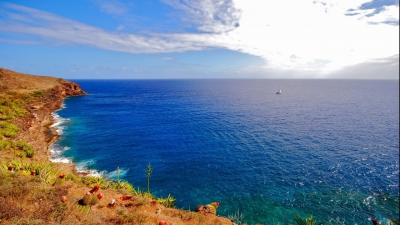 Mediterana riscă să devină o mare moartă
