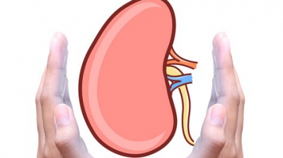 5 băuturi pentru curăţarea rinichilor: efecte miraculoase şi ingrediente simple