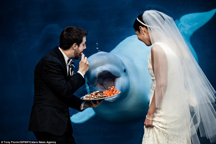 Galeria accidentelor "fericite": topul celor mai amuzante fotografii de nuntă