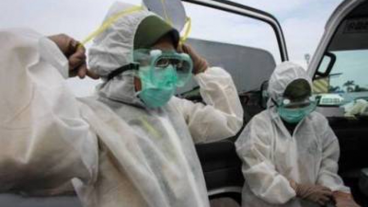 Alertă de gripă porcină la graniţa României cu Ucraina. Primele măsuri luate, la frontieră