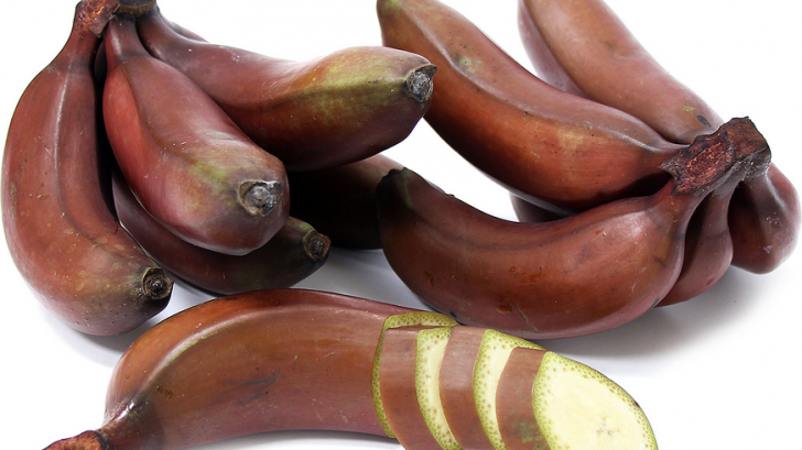 Ce sunt, de fapt, bananele roşii. Ai mânca un astfel de fruct?