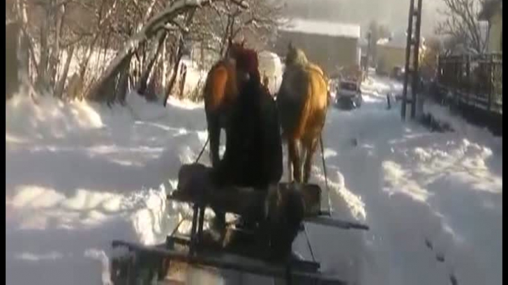 Deszăpezire cu un plug tras de cai într-o localitate dâmboviţeană. Care e explicația primarului 