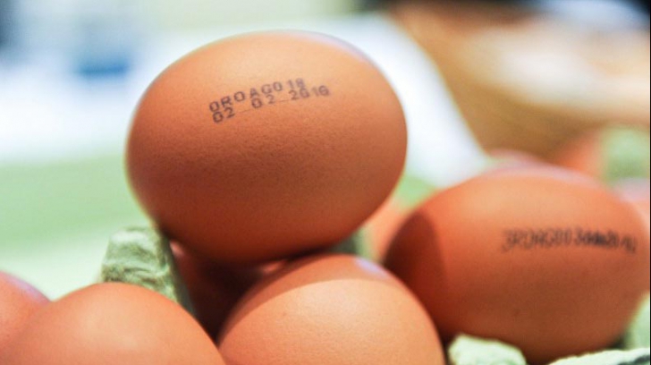 Ce semnifică fiecare cifră din codul marcat pe ouă. Cum le alegi pe cele mai bune