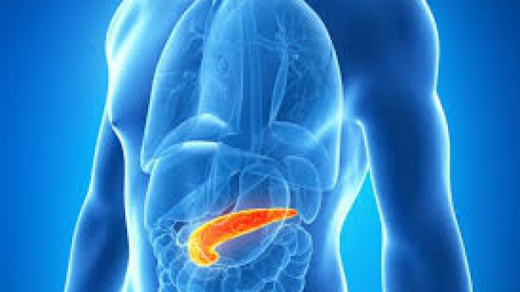 Pancreatita acuta: cauze, simptome si complicatii