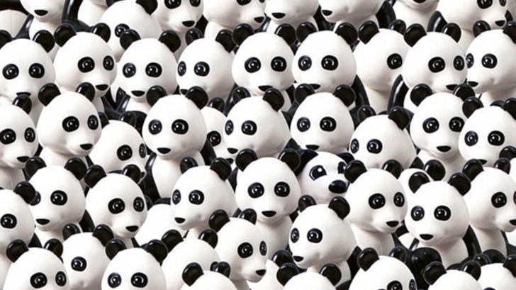 Găseşti câinele în mulţimea panda? Cel mai rapid timp a fost de 5 secunde! Ţie cât îţi trebuie