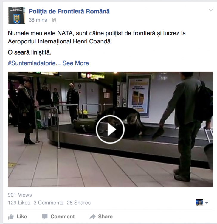 VIDEO Cel mai tare câine polițist lucrează la Aeroportul Henri Coandă! Vezi ce face