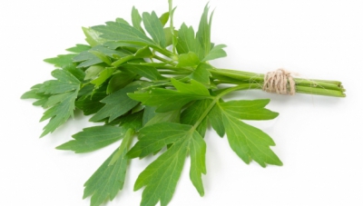 Surprinzător: ce se întâmplă dacă mănânci zilnic 20 de grame de leuştean crud