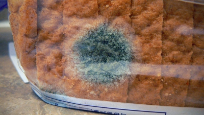 Ce se întâmplă dacă mănânci, din greșeală, un aliment cu mucegai