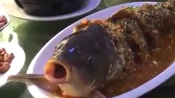 Momentul şocant în care un peşte gătit este readus la viaţă