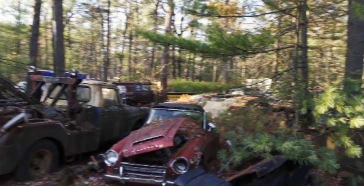 Au intrat în pădure şi au găsit mai multe maşini părăsite. E INCREDIBIL ce era în ele. S-au minunat