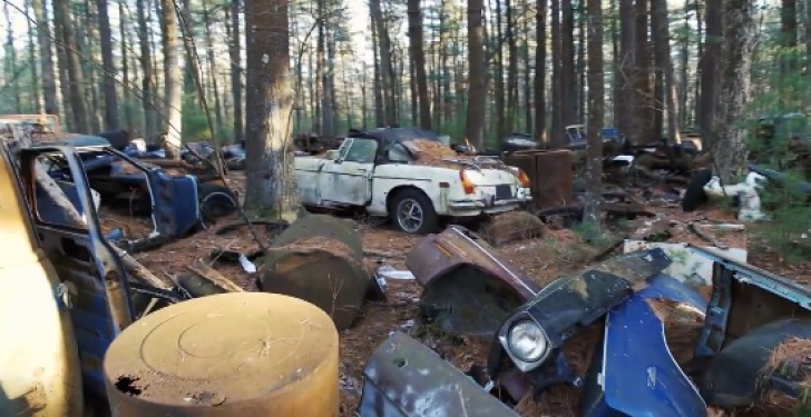 Au intrat în pădure şi au găsit mai multe maşini părăsite. E INCREDIBIL ce era în ele. S-au minunat