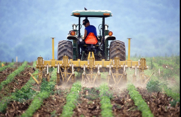De ce nu-și asigură românii culturile agricole. Peste jumătate din terenuri nu au asigurare