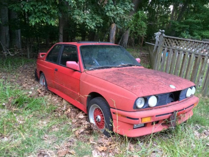 A găsit un BMW vechi părăsit în pădure. După ce a făcut cercetări, a aflat adevărul 